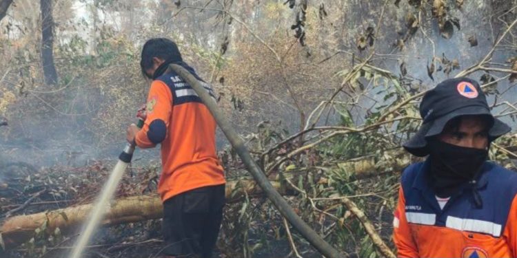 BNPB Cegah Karhutla di Kalteng Meluas, Satgas Darat dan Udara Dioptimalkan
