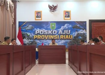 Rapat Bersama Presiden, Mendagri Tito Dorong Pencegahan Karhutla di Riau Diperkuat