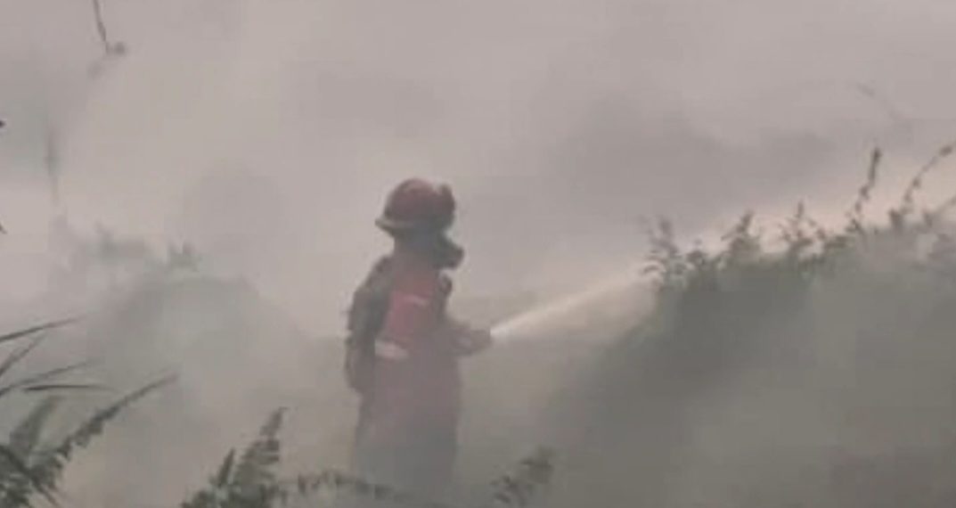 Karhutla Kalimantan Banyak Terjadi di Lahan Gambut, Begini Langkah BNPB