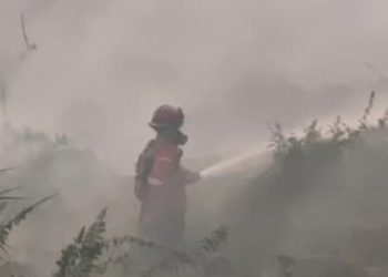 Karhutla Kalimantan Banyak Terjadi di Lahan Gambut, Begini Langkah BNPB