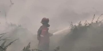 Karhutla Kalimantan Banyak Terjadi di Lahan Gambut, Begini Langkah BNPB