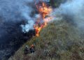 Penanganan Karhutla Bromo, BNPB: 540 Personel Dikerahkan untuk Pemadaman hingga Cegah Api Meluas