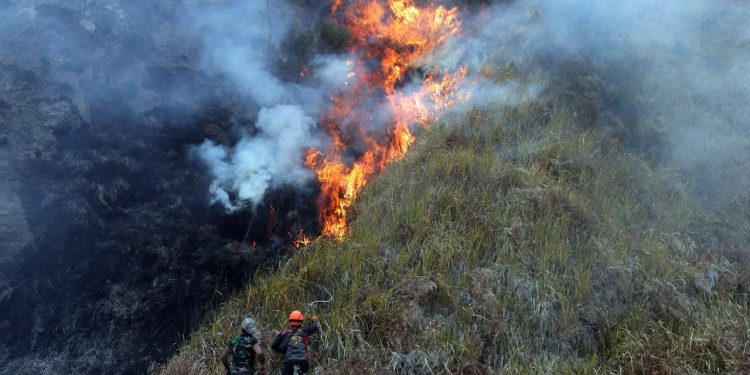 Penanganan Karhutla Bromo, BNPB: 540 Personel Dikerahkan untuk Pemadaman hingga Cegah Api Meluas